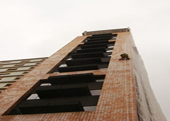 Projetos